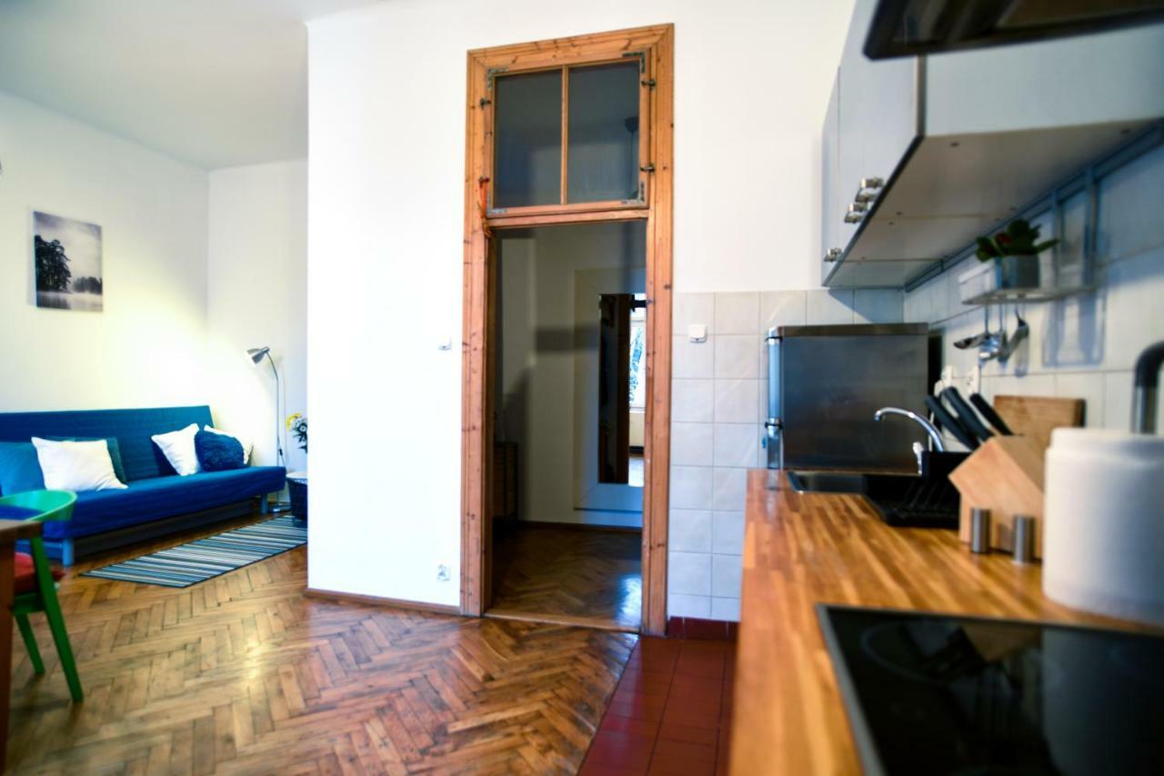 Large And Cozy Apartment 60 M2, Cracow Old Town كراكوفيا المظهر الخارجي الصورة